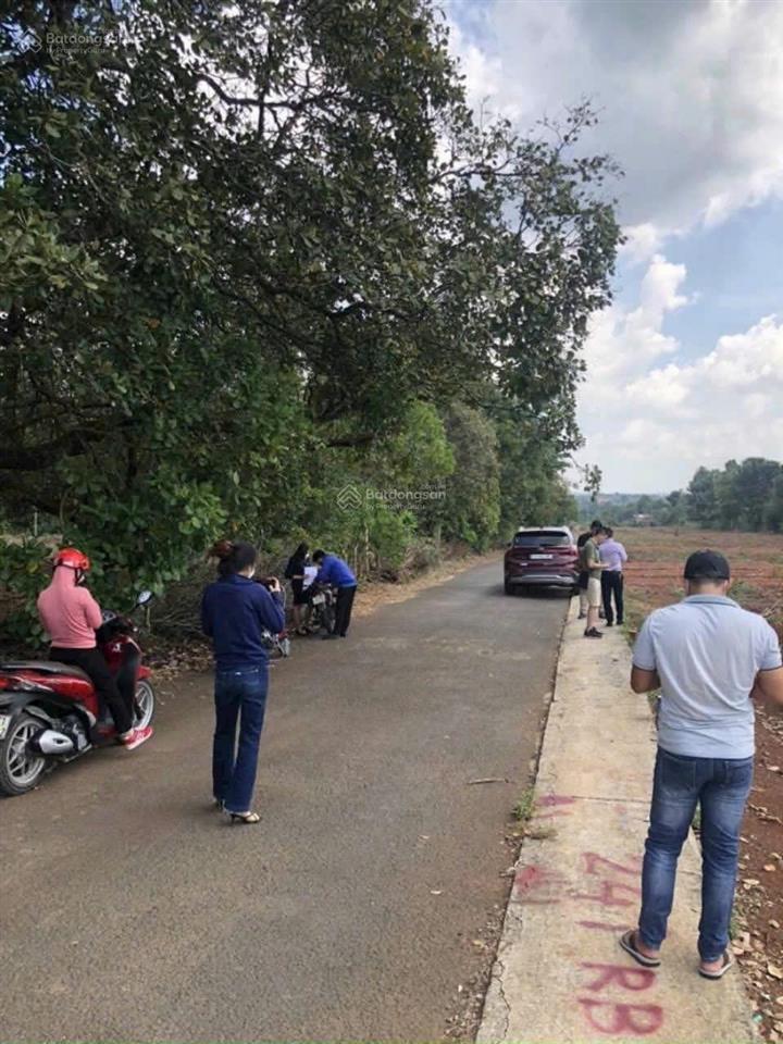 Cơ hội siêu hiếm lô đất đẹp 195m² chỉ 920 triệu giá siêu rẻ