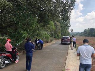 Cơ hội siêu hiếm lô đất đẹp 195m² chỉ 920 triệu giá siêu rẻ