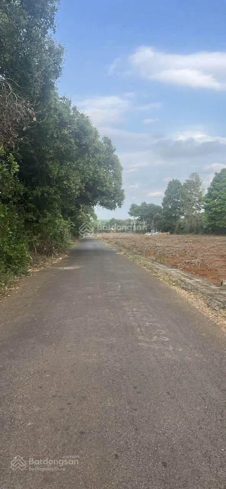 Cơ hội siêu hiếm lô đất đẹp 195m² chỉ 920 triệu giá siêu rẻ