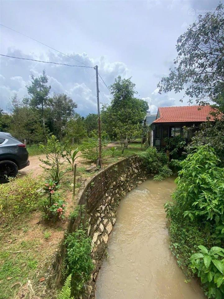 Siêu phẩm nghỉ dưỡng 2.156m² homestay + hồ câu + suối bao quanh giá chỉ 7 tỷ