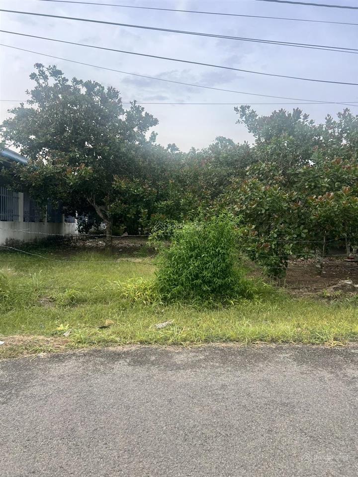 Bán siêu phẩm đất sào trung tâm hắc dịch, phú mỹ