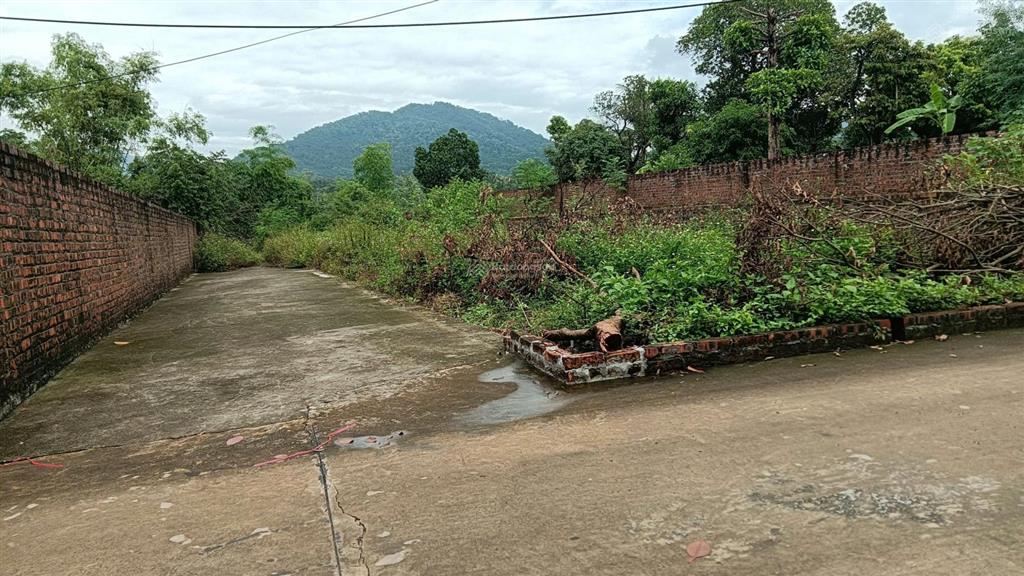 Bán đất tại xã quang tiến, sóc sơn, hà nội, 46m2, giá thỏa thuận, mặt tiền 4.5m, ngõ 3.2m, hot!