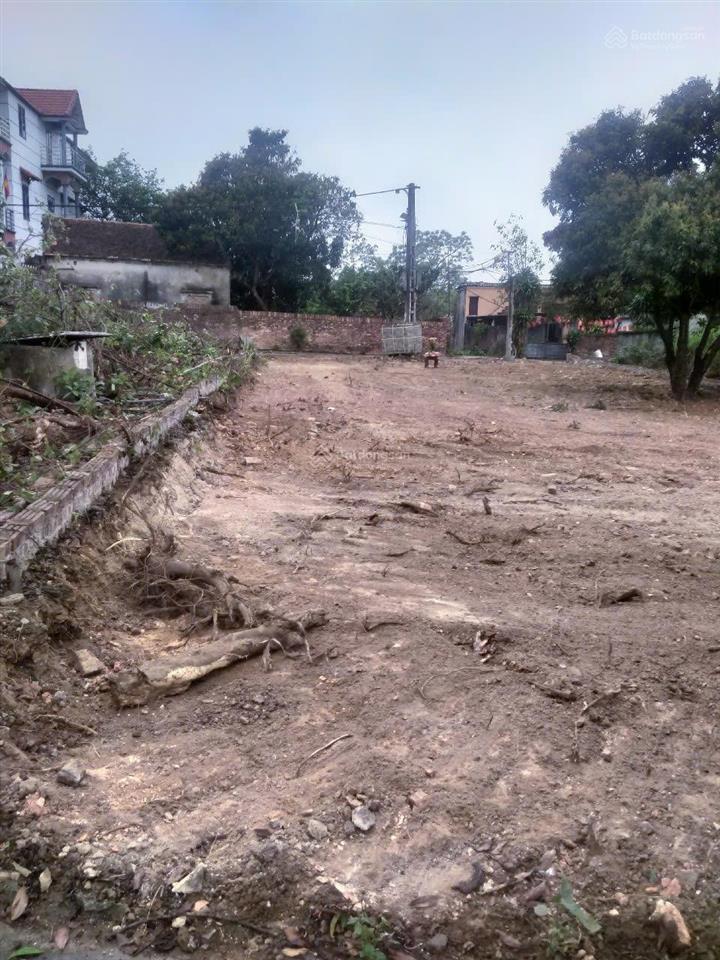 Cơ hội sở hữu lô đất đẹp tại hiền lương, hiền ninh, sóc sơn (hà nội)