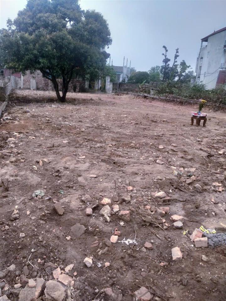 Cơ hội sở hữu lô đất đẹp tại hiền lương, hiền ninh, sóc sơn (hà nội)