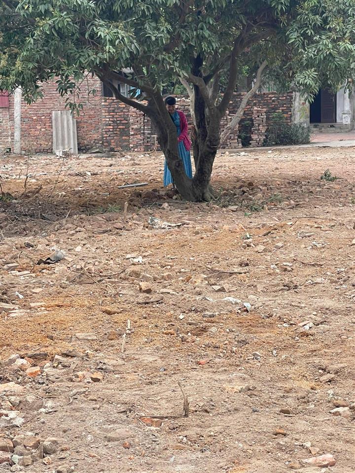 Cơ hội sở hữu lô đất đẹp tại hiền lương, hiền ninh, sóc sơn (hà nội)