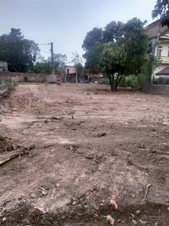 Cơ hội sở hữu lô đất đẹp tại hiền lương, hiền ninh, sóc sơn (hà nội)