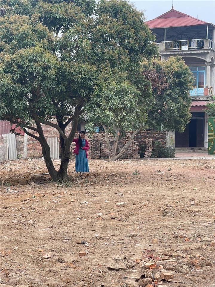 Cơ hội sở hữu lô đất đẹp tại hiền lương, hiền ninh, sóc sơn (hà nội)