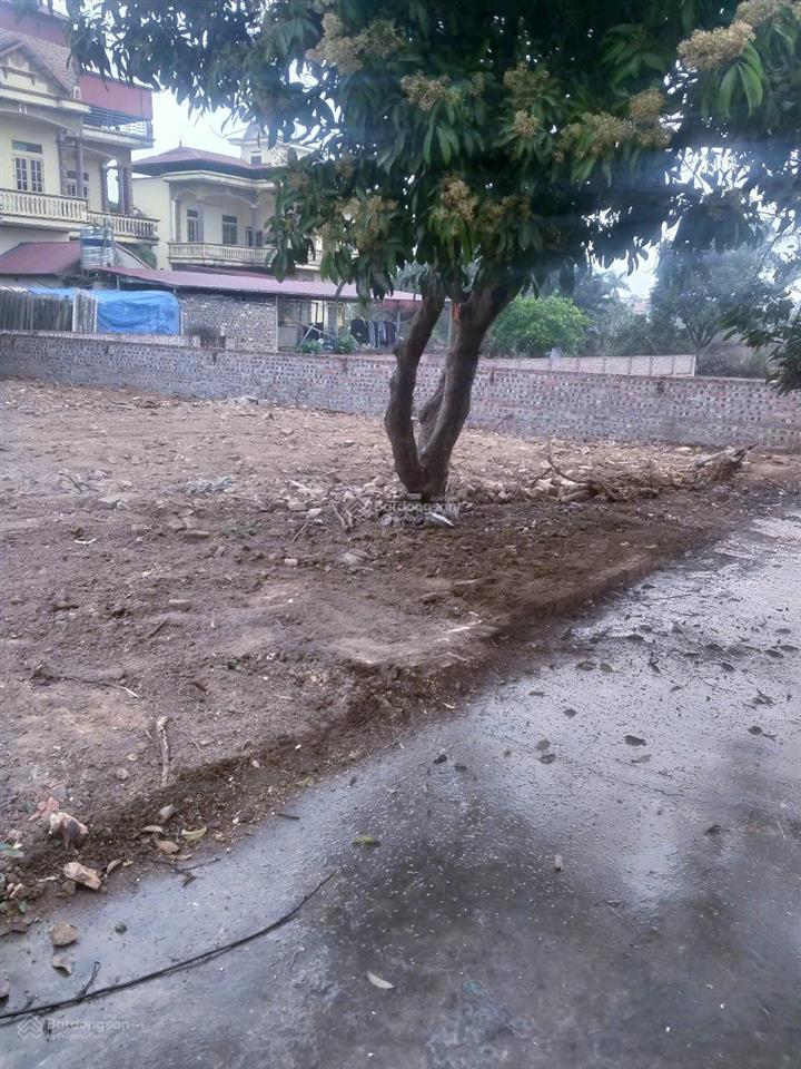 Cơ hội sở hữu lô đất đẹp tại hiền lương, hiền ninh, sóc sơn (hà nội)