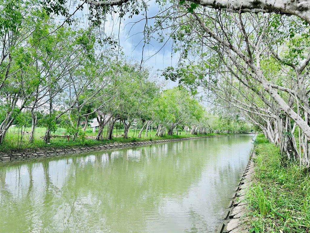 Đất nền biệt thự kdc phú xuân  vạn phát hưng dt 240m2(10x24) giá siêu tốt 52tr/m2, view rạch