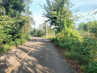 Bán 30m mặt nhựa dt 1691 giá tốt nhất thị trường xuân đông