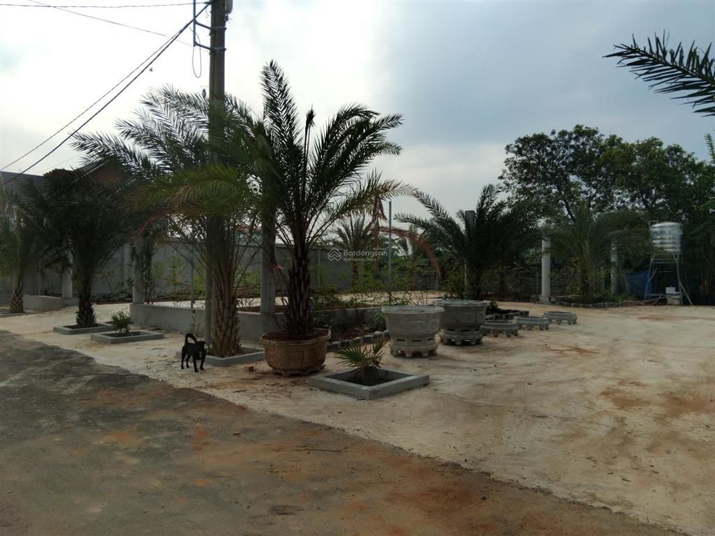 Rẻ nhất chỉ trong tháng đất bách khoa 48tr/m2