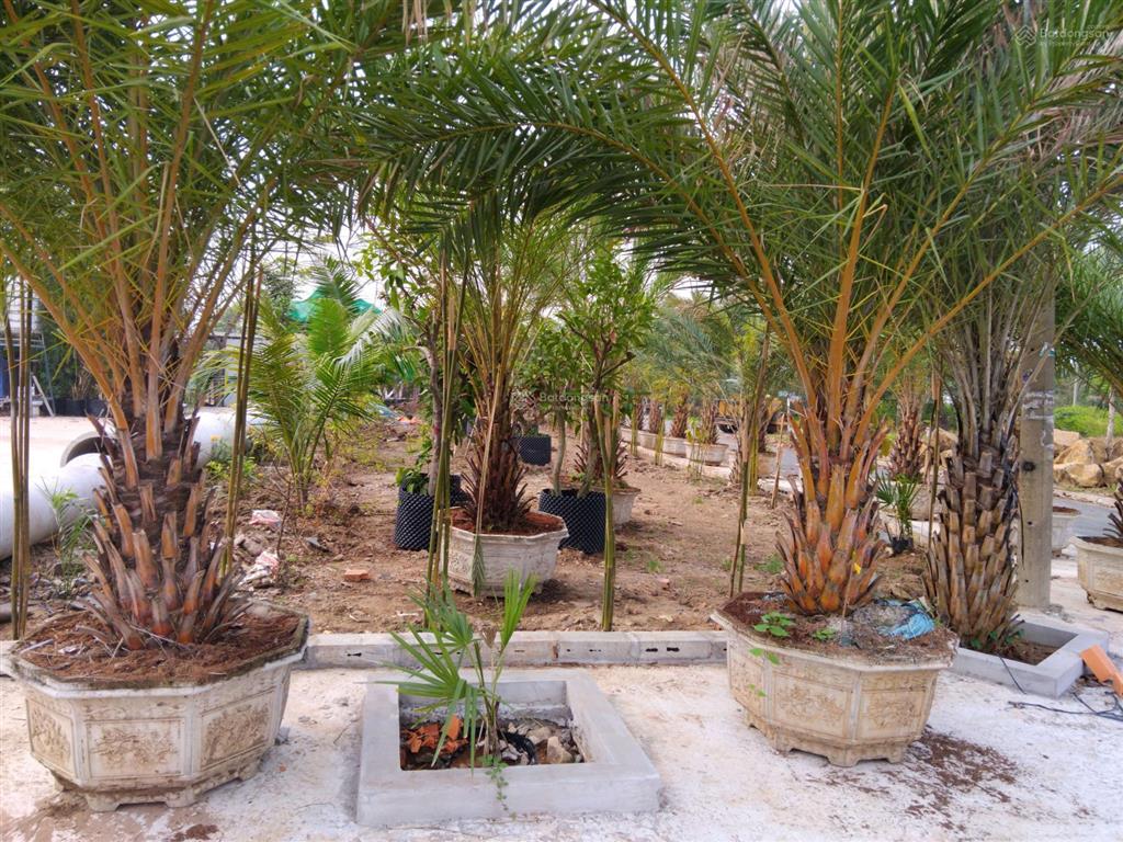 Rẻ nhất chỉ trong tháng đất bách khoa 48tr/m2