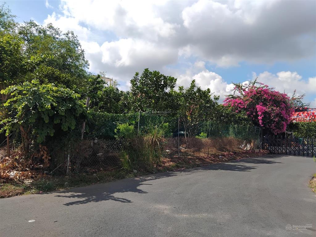 Biến động 62tr/m2 chốt ngay 7x26 song song trục 711