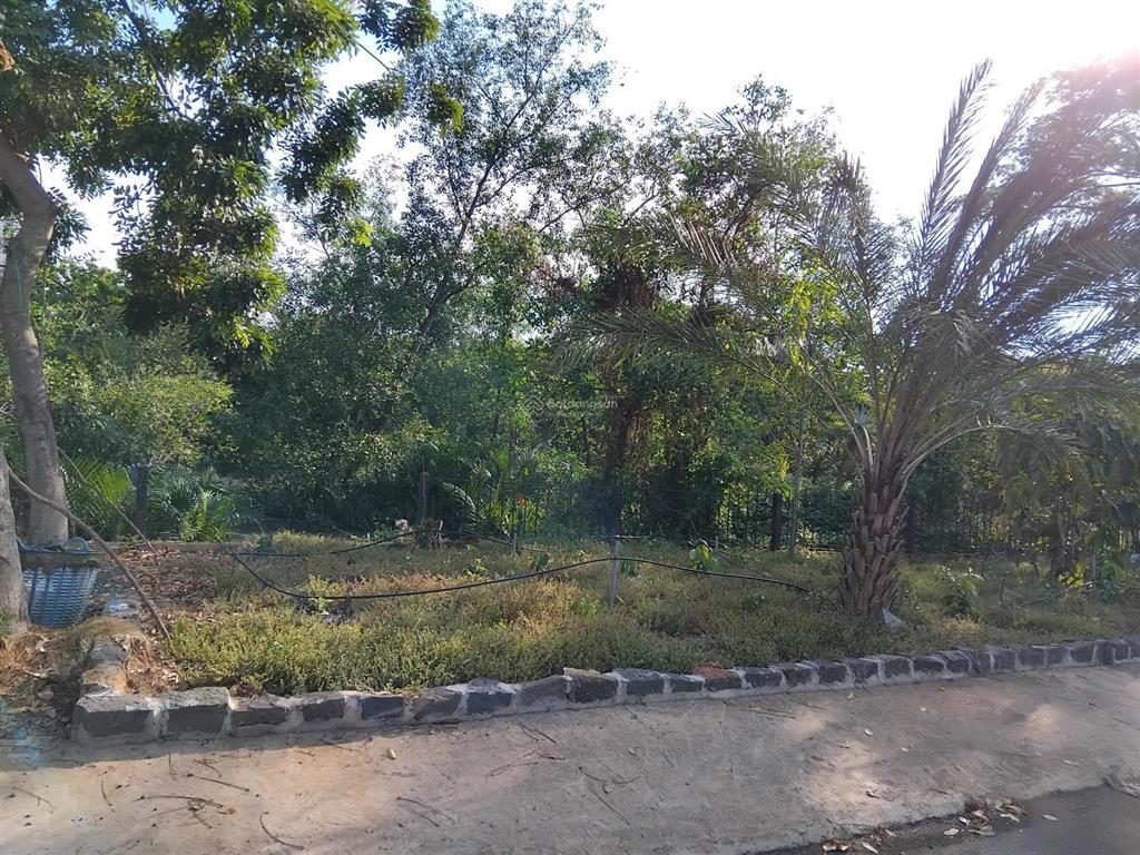 Hé lộ 53tr/m2 sát lô góc, cạnh công viên, đường nhựa mới nâng