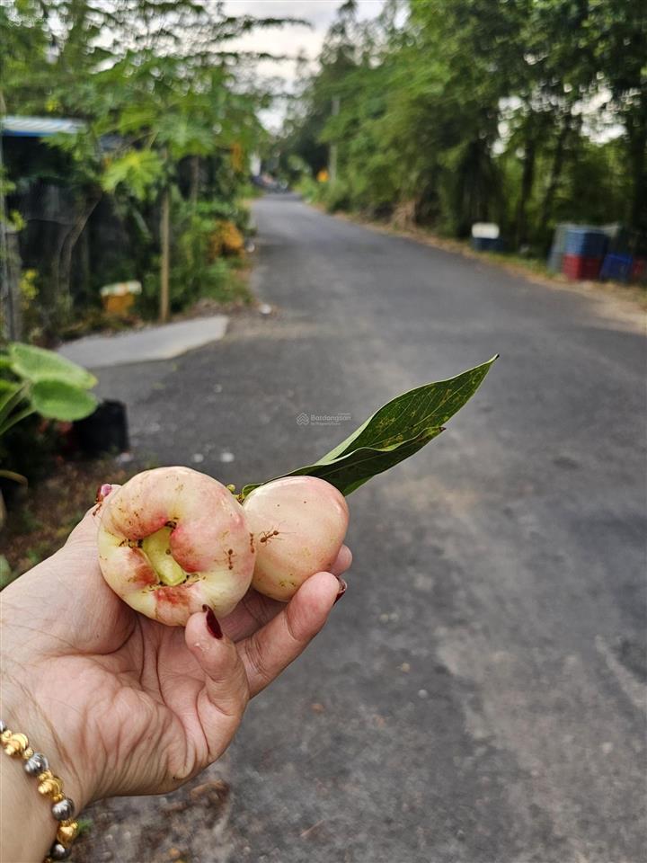 Bán đất mặt tiền đường thanh niên xung phong, hiệp phước giá 800tr/nền