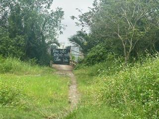 Chính chủ bán gấp đất cln 1000m2 tại xã hiệp phước, nhà bè, hcm, 2,8 triệu / m2