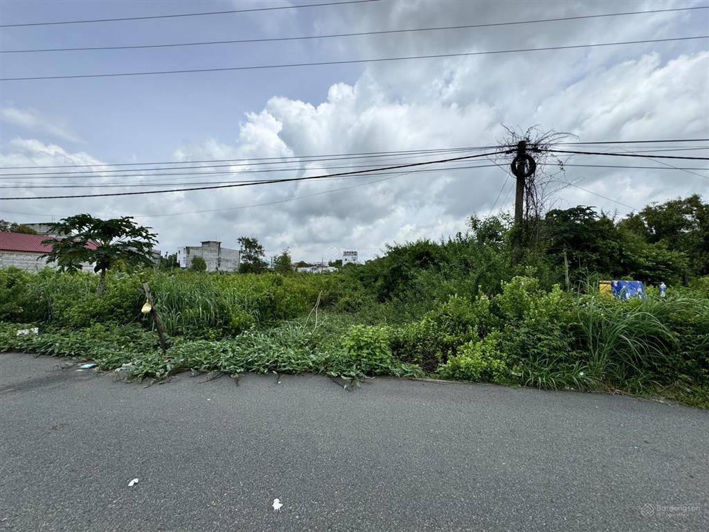 Bán đất lộc an cũ  phước hải  tp hcm. 8m*20m, full thổ cư, kế bên trường học, gần uỷ ban