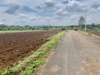 Chính chủ bán 1500 m2 đất lô góc 2 mặt tiền đường nhựa xã bình trung, châu đức