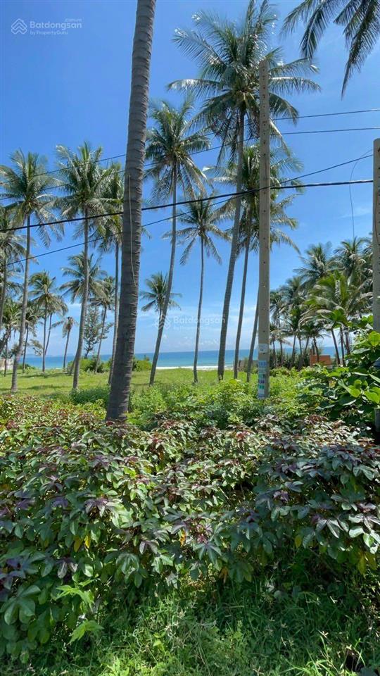 Bán 1.100m2 xuân thủy, mũi né giá 6,5 tỷ