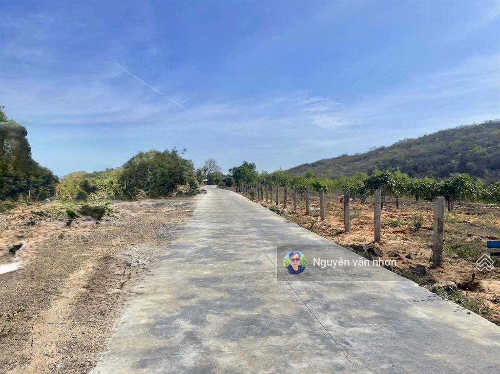 Bán đất xã thiện nghiệp phan thiết giá 4.7 tỷ diện tích 3101.7m² (có 360m² thổ cư)