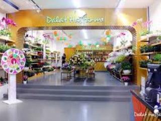 Cho thuê nhà mặt phố nguyễn đình chiểu diện tích 100m2, mặt tiền 5m, thông sàn, riêng biệt