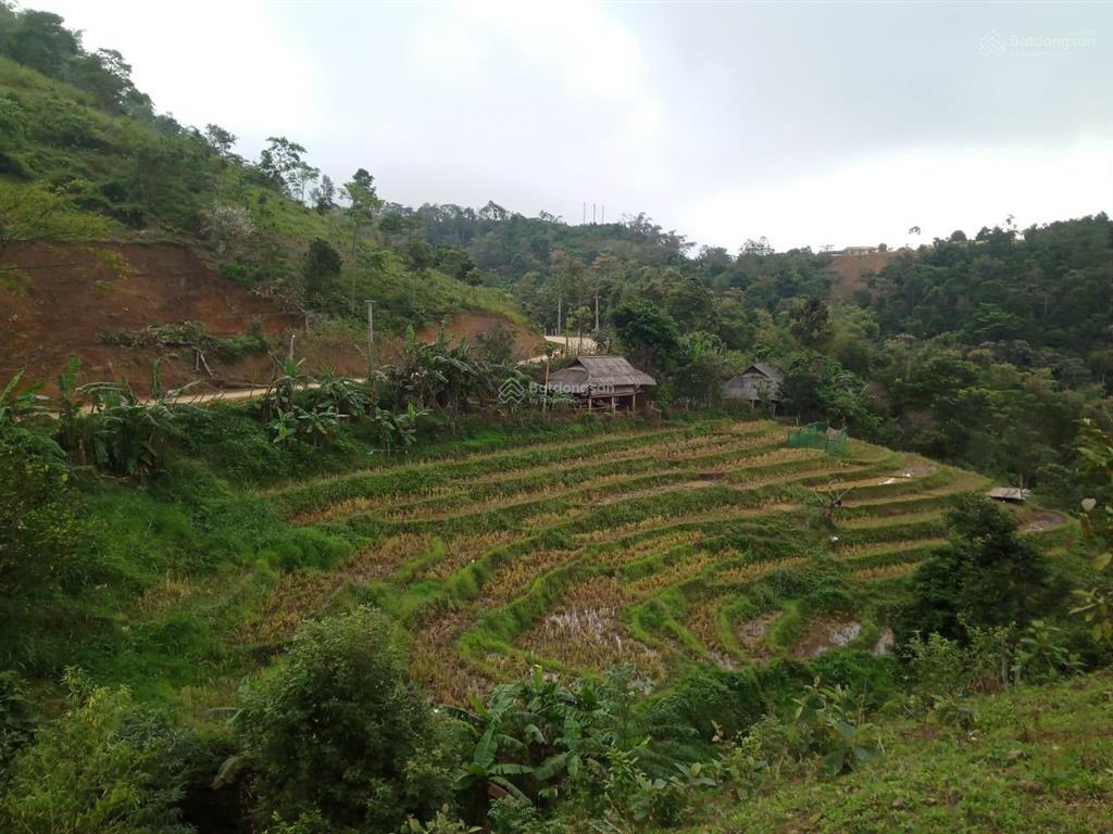 Cơ hội vàng đầu tư đất nghỉ dưỡng tại xóm mừng, cao phong  hòa bình