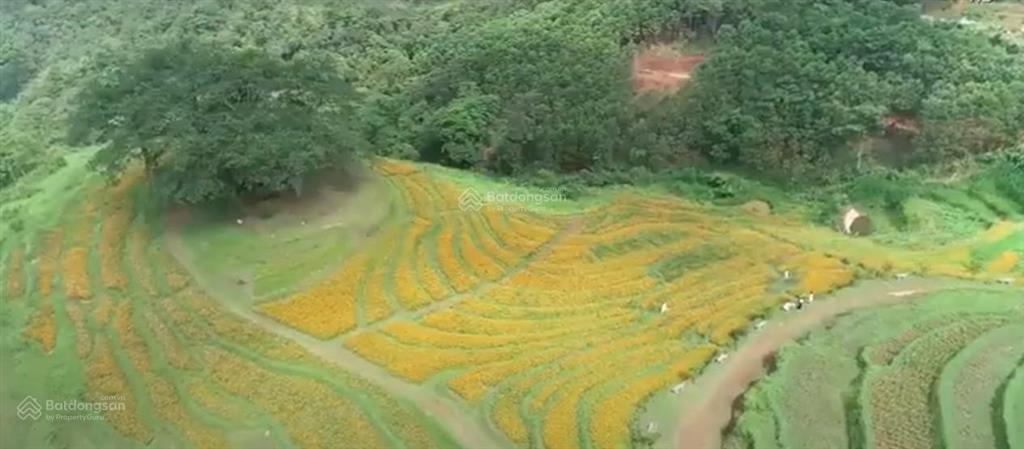 Cơ hội vàng đầu tư đất nghỉ dưỡng tại xóm mừng, cao phong  hòa bình