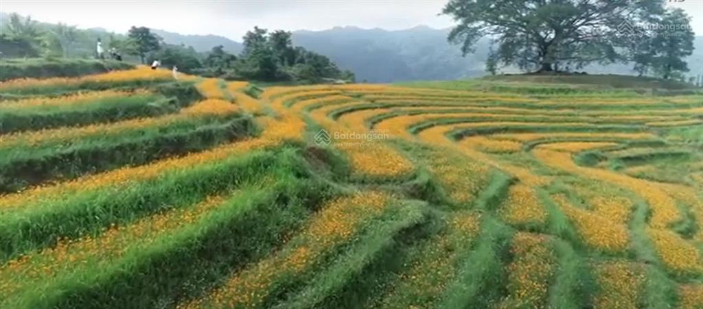 Cơ hội vàng đầu tư đất nghỉ dưỡng tại xóm mừng, cao phong  hòa bình