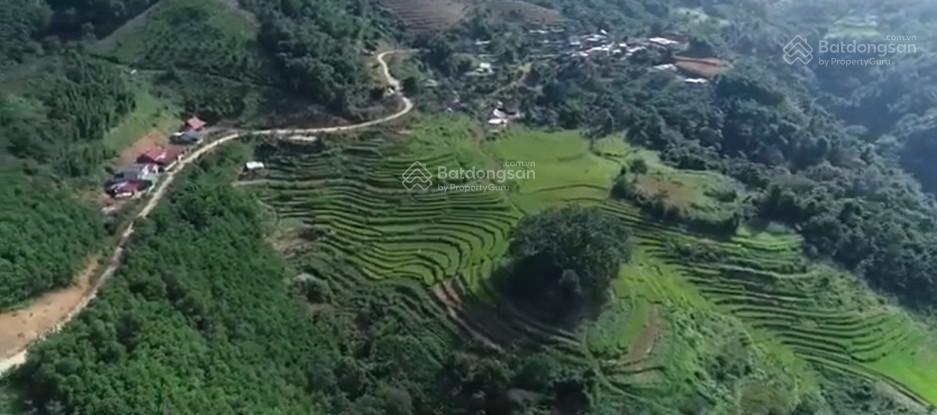 Cơ hội vàng đầu tư đất nghỉ dưỡng tại xóm mừng, cao phong  hòa bình