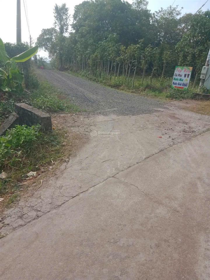 Chủ cắt lỗ 300tr cần bán lô đất hàng gòn 1.103m2 giá rẻ nhất tp long khánh giá 1.25 tỷ