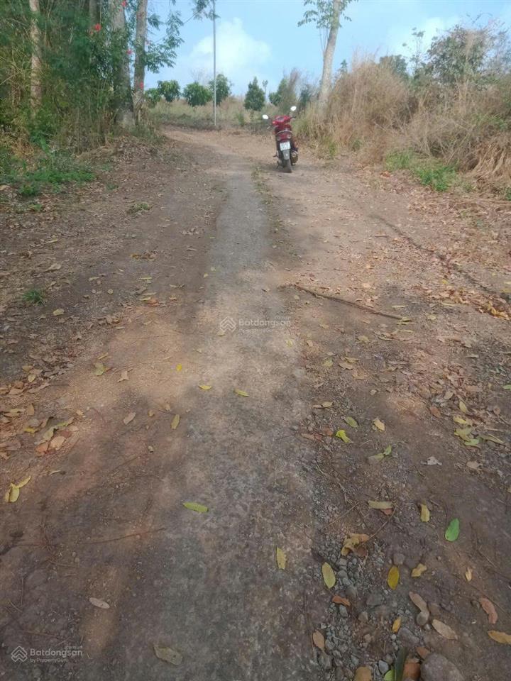 Chủ cắt lỗ 300tr cần bán lô đất hàng gòn 1.103m2 giá rẻ nhất tp long khánh giá 1.25 tỷ