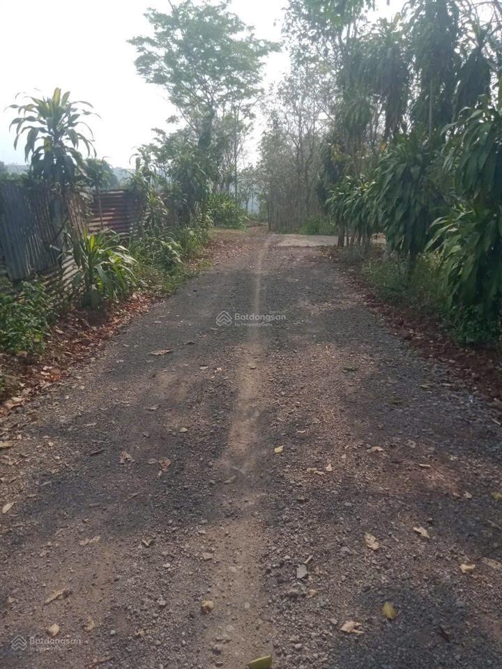 Chủ cắt lỗ 300tr cần bán lô đất hàng gòn 1.103m2 giá rẻ nhất tp long khánh giá 1.25 tỷ