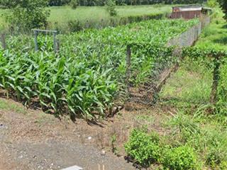 Pháp lí rõ ràng. ưu tiên khách hàng thiện chí