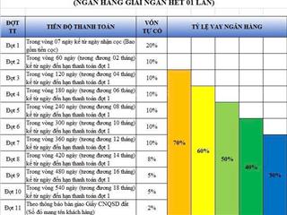 Nhận booking giỏ hàng gđ1 the 826ec, tt vay được ân hạn lãi 15 tháng.  0949 651 ***