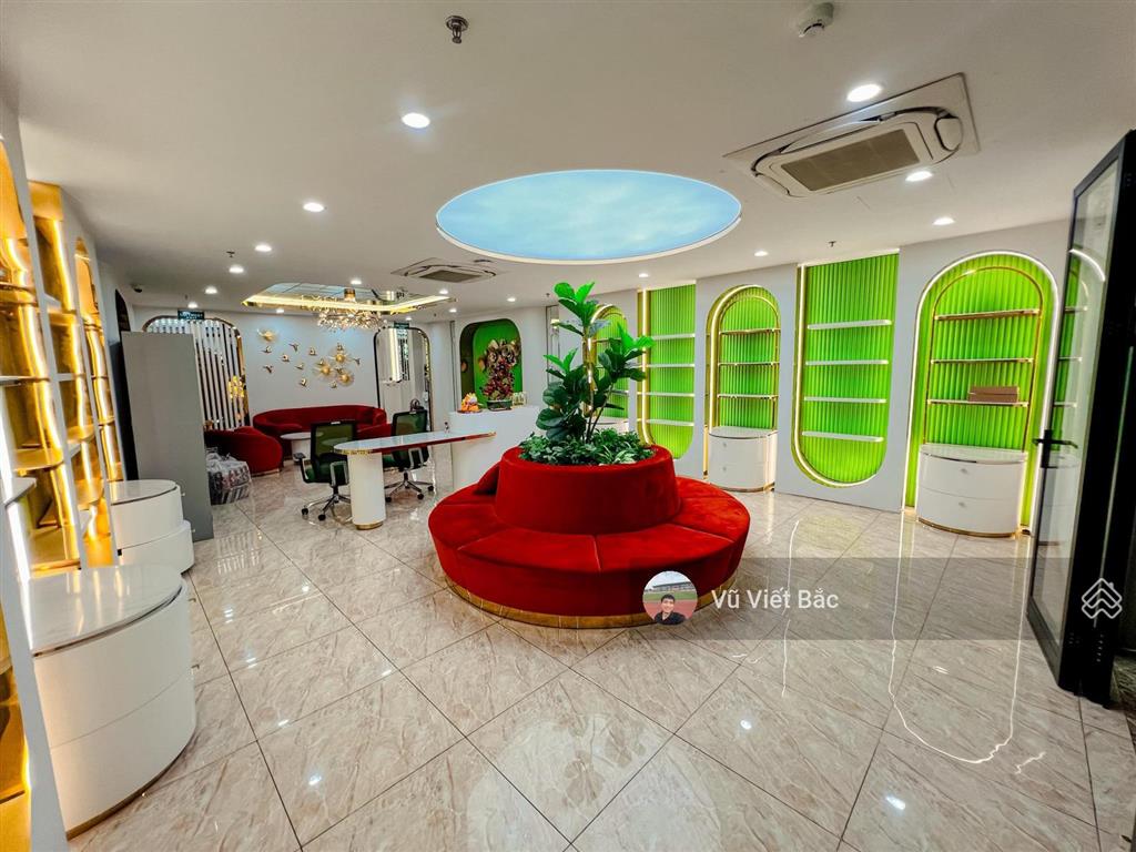 Phân lô, ôtô chạy vòng quanh, vỉa hè kinh doanh tốt phố đào tấn, ba đình chỉ 20.65 tỷ  50m