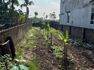 Chính chủ cần bán lô đất phân lô 2 mặt thoáng, 146m2 gần đường vành đai 4, xã hồng hà, đan phượng