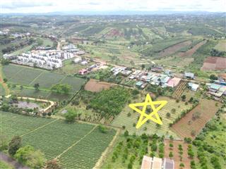 Nhà vườn có sẵn cà phê và cây ăn trái tại phường 2 mới, bảo lộc (xã lộc tân cũ)