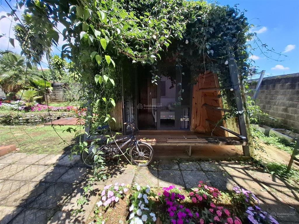 Ngôi nhà vườn đẹp xuất sắc tại trung tâm p2 bảo lộc| có sẵn thêm 2 căn homestay