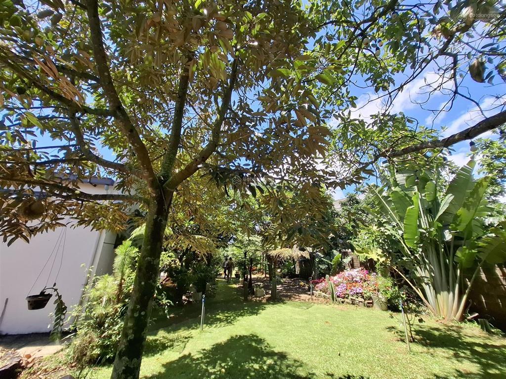 Ngôi nhà vườn đẹp xuất sắc tại trung tâm p2 bảo lộc| có sẵn thêm 2 căn homestay