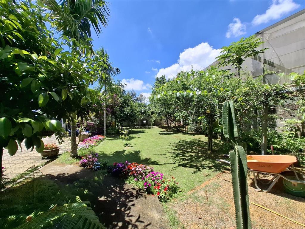 Ngôi nhà vườn đẹp xuất sắc tại trung tâm p2 bảo lộc| có sẵn thêm 2 căn homestay
