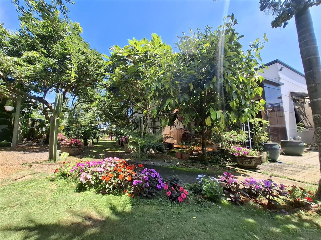 Ngôi nhà vườn đẹp xuất sắc tại trung tâm p2 bảo lộc| có sẵn thêm 2 căn homestay