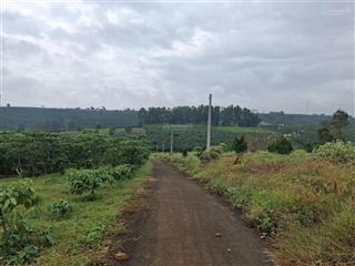 Mảnh đất nho nhỏ thích hợp mua để dành chờ cao tốc tại bảo lộc