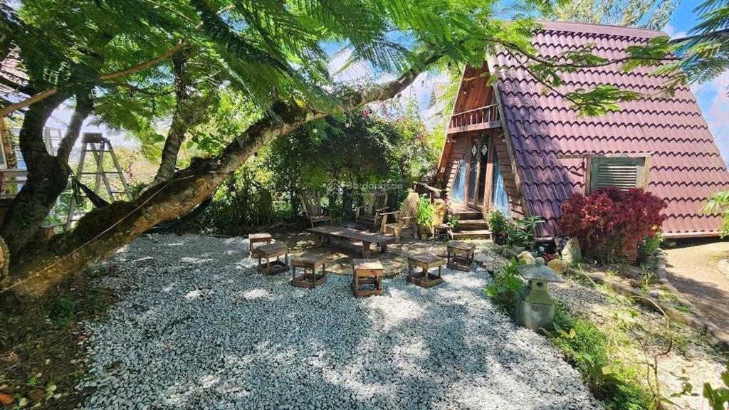 Cho thuê villa sân vườn  full nội thất, kinh doanh homestay