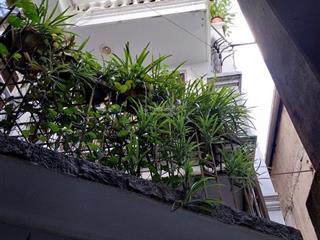 Cho thuê nhà biệt thự ngọc hà ba đình , nhà mới , mặt ngõ lớn , gần phố , giá 15tr/th