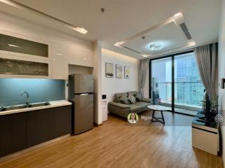 Đang trống  cho thuê căn hộ vinhomes metropolis 1 ngủ tòa m1, nhà đẹp, mới   0919 631 ***