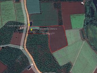 Bán 3845m2 có nhà 200m2 đất vườn đẹp gần sân bay liên khương. giá 3.9 tỷ