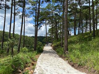 Cc bán 2000m2 đất nn tại xuân thọ, đường ô tô, view rừng thông, sổ đỏ đầy đủ, giá 3 tỷ 250 có tl