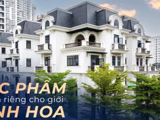 Hàng hiếm! chính chủ gửi bán biệt thự đơn lập the zei, vị trí đắc địa, cộng đồng tinh hoa