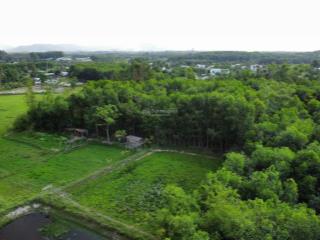 Chào bán 6000m2 có 552m2 thổ cư ô tô tận nơi view cánh đồng thích hợp làm vuon hoà tiến tp đà nẵng