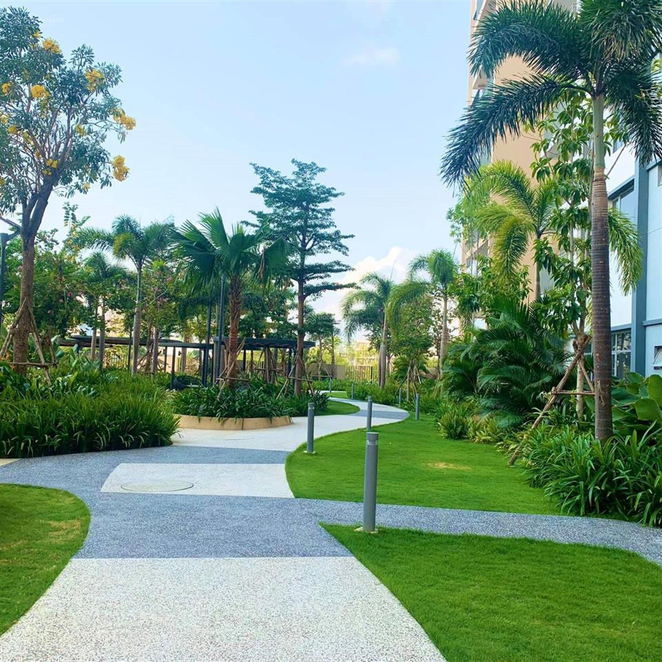 Cho thuê palm heights từ 16 triệu/tháng | giỏ hàng nhiều căn 2pn  3pn | xem nhà nhanh
